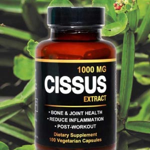 시서스 1000mg 시서스 추출물 캡슐 (FDA 승인사 제조)