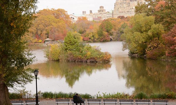 뉴욕 일원 단풍 절정