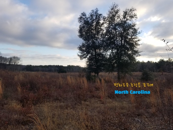 농장 진입로 패인 부분 메꾸기 작업과 뒷풀이 농장 진입로 패인 부분 메꾸기 작업과 뒷풀이