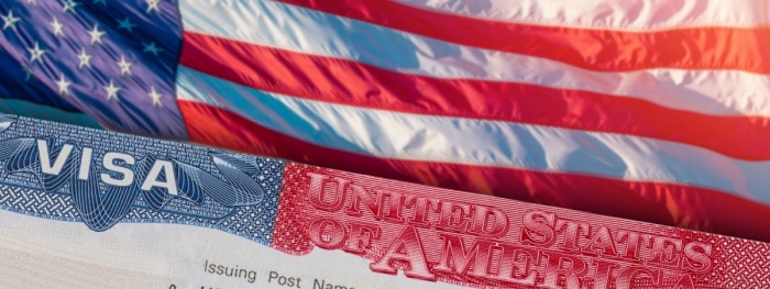 예체능인(P-1) 비자  