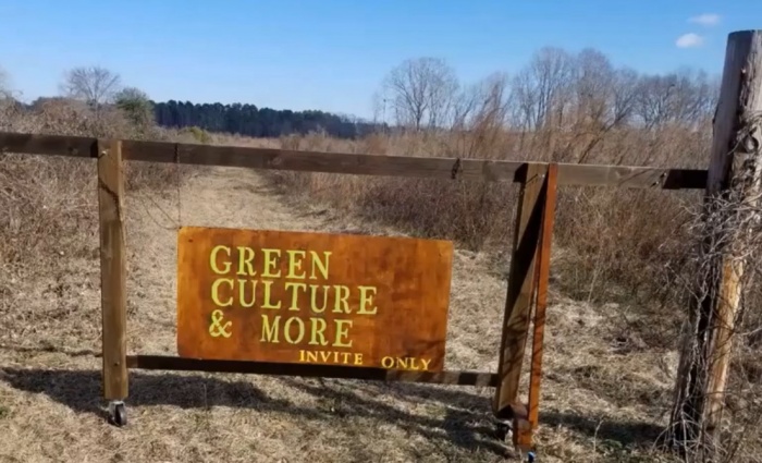 유실수의 꿈, 세 마리의 새끼 염소 그리고 오리와 거위의 싸움