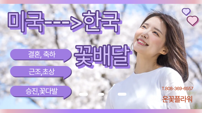 온꽃,온꽃플라워,한국꽃배달 전문업체입니다. 온꽃,온꽃플라워,한국꽃배달 전문업체입니다.