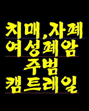 하늘이 뿌여면 황사 마스크라도 사용 하세요. 심각하게 고민하세요.--2