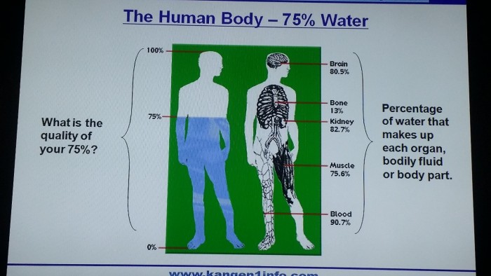 전 세계 유명인사들이 선택한 물 정수기는 바로 이 것 전 세계 유명인사들이 선택한 물 정수기는 바로 이 것