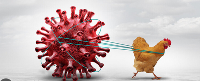 성경 요한 계시록 예언 상 현재 어느 지점에 우리가 살고 있을까요? 