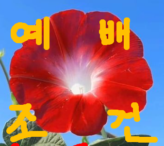 지금 우리는 예수님이 원하시는 예배를 올려 드리고 있습니까? 예배자의 영적 자세는?