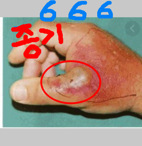 구원받은 자 휴거 후 666 받고 예수님 배신한 자들 7가지 재앙 저주 시나리오.--16장+17장.
