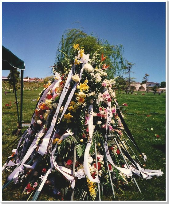 오손 도손▶◀고부 안장