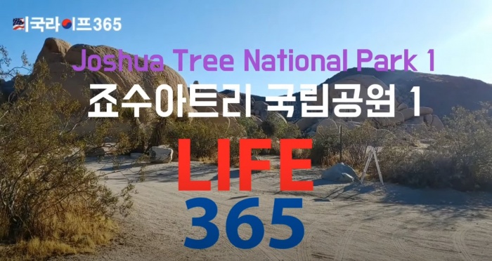 Joshuatreenationalpark1, #죠수아트리국립공원1