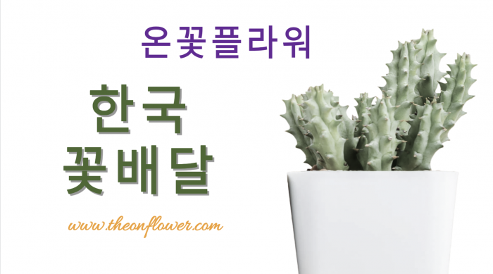 한국으로 총알배송합니다. 