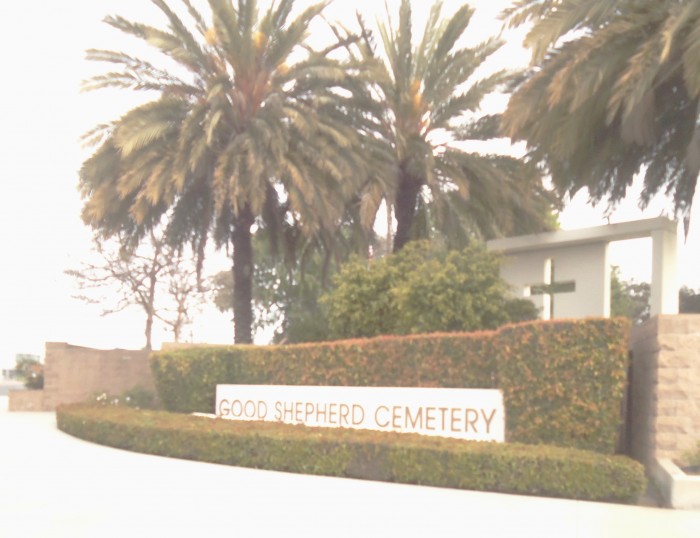 뜬금없이▶GSC◀묘지방문