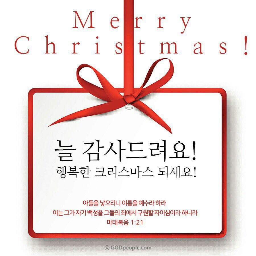 예시이미지