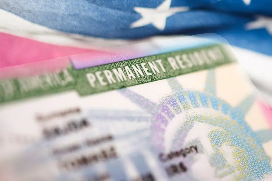 동시 접수의 함정…빠른 길이 항상 안전한 길은 아니다 동시 접수의 함정…빠른 길이 항상 안전한 길은 아니다