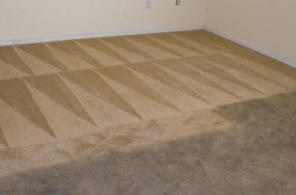 OK 23년 경력 강아지 오줌 카펫,러그,천,가죽소파,타일 청소 전문 회사.