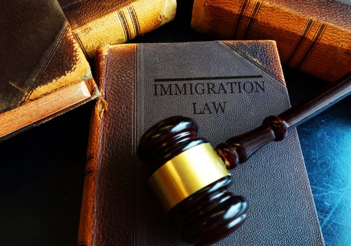 이민 및 국적법 221(g)조항  