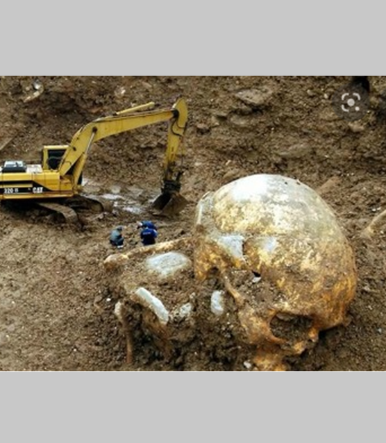 네피림 거인에 대한 동영상입니다.