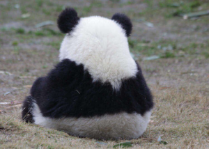 예시이미지