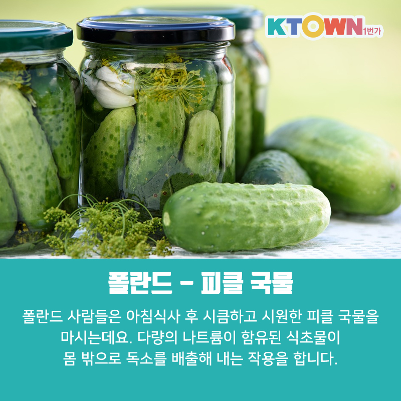 세계의 숙취 해소법