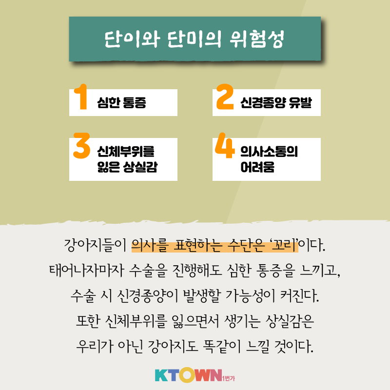 강아지 단이와 단미 수술, 꼭 필요할까?