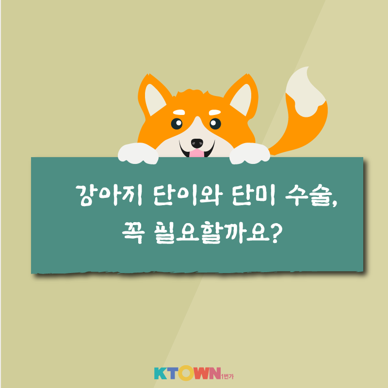 강아지 단이와 단미 수술, 꼭 필요할까?