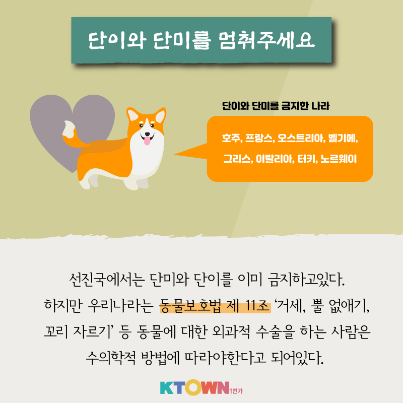 강아지 단이와 단미 수술, 꼭 필요할까?