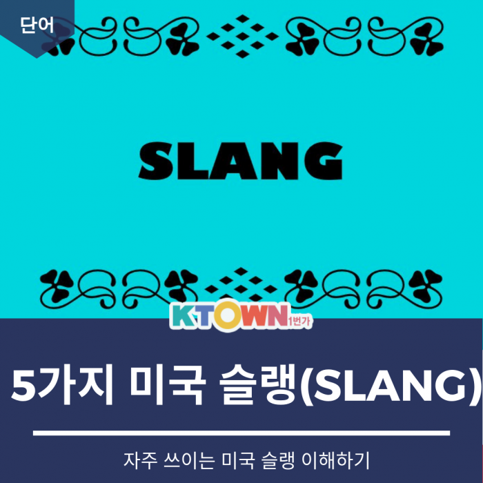 5가지 미국 슬랭(SLANG)