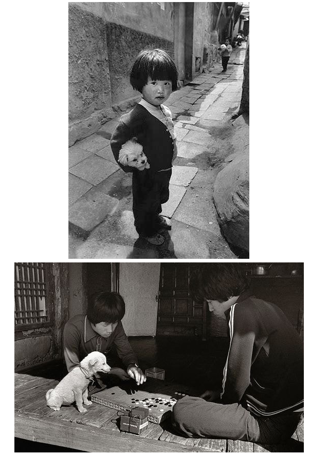 예시이미지