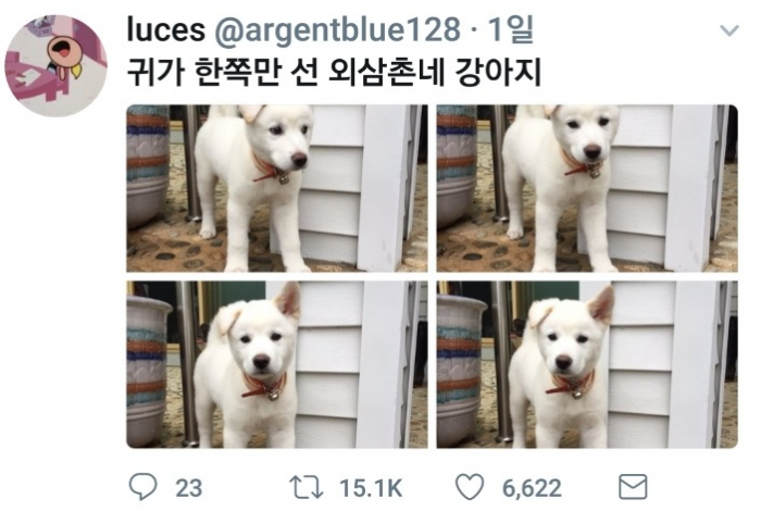 예시이미지