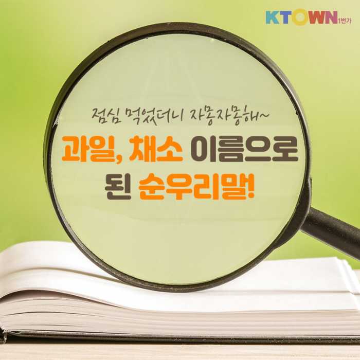 점심 먹었더니 자몽자몽해~ 순우리말 알아보기