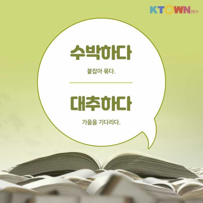 점심 먹었더니 자몽자몽해~ 순우리말 알아보기