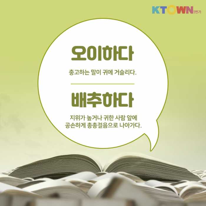 점심 먹었더니 자몽자몽해~ 순우리말 알아보기