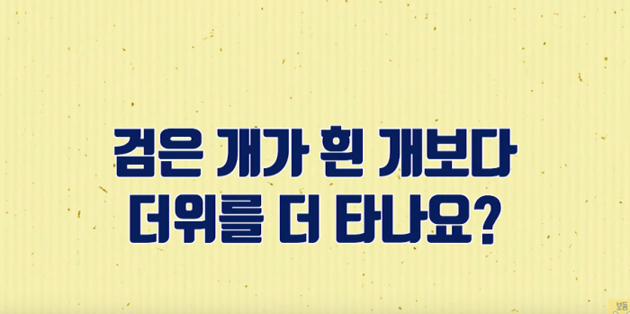 예시이미지