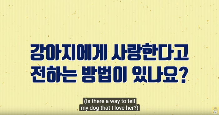 예시이미지