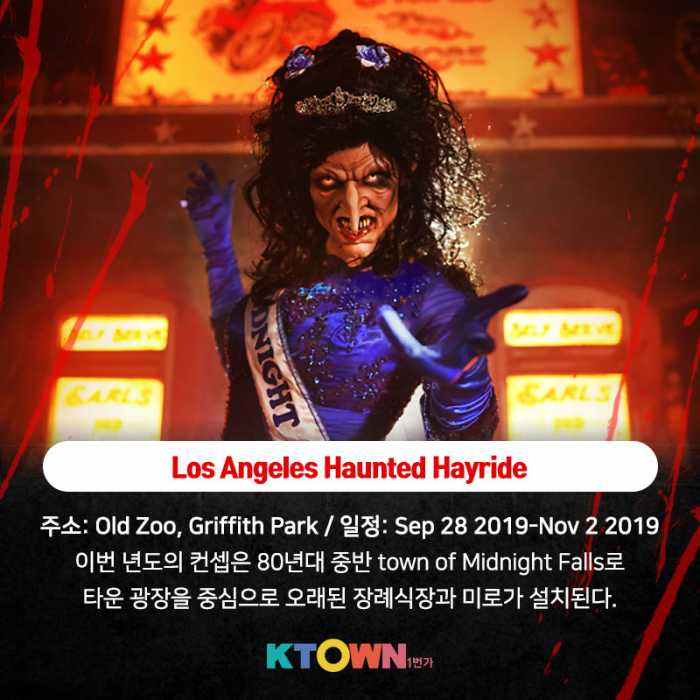 아니 벌써 10월?! 할로윈에 뭐하지?!