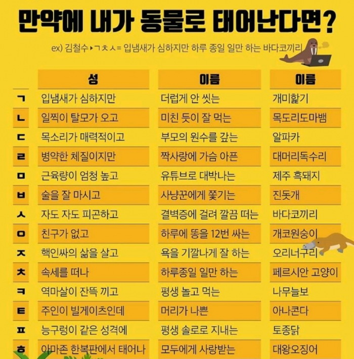 예시이미지