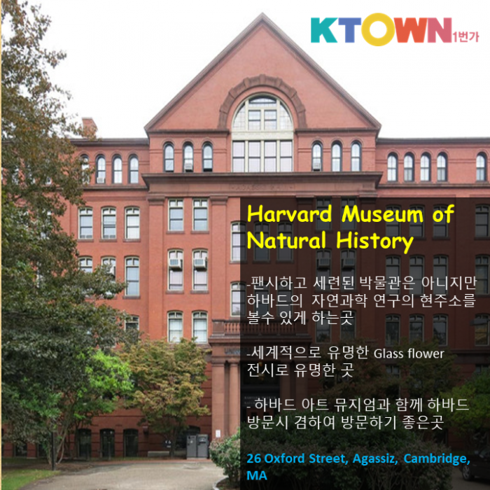 보스턴에서 꼭 방문해야 할 Best Museum Best 5