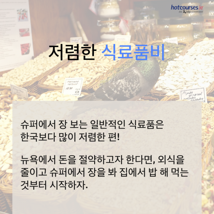 뉴욕 New York 한 달 생활비는?  잠들지 않는 도시 뉴욕, 얼마나 비싼 걸까?