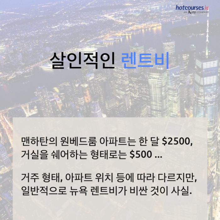 뉴욕 New York 한 달 생활비는?  잠들지 않는 도시 뉴욕, 얼마나 비싼 걸까?