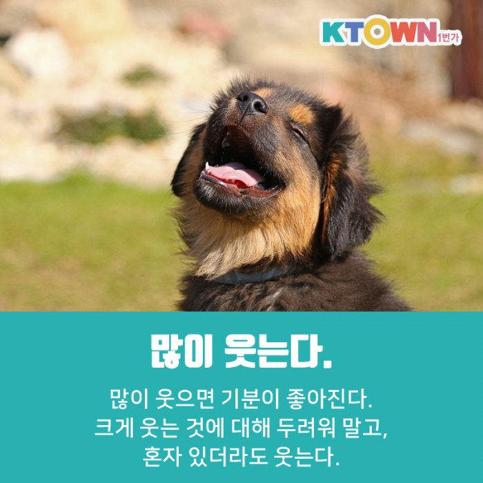 스트레스 없는 2020 경자년을 위하여!!