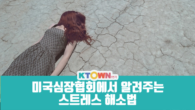 스트레스 없는 2020 경자년을 위하여!!