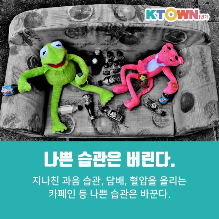 스트레스 없는 2020 경자년을 위하여!!