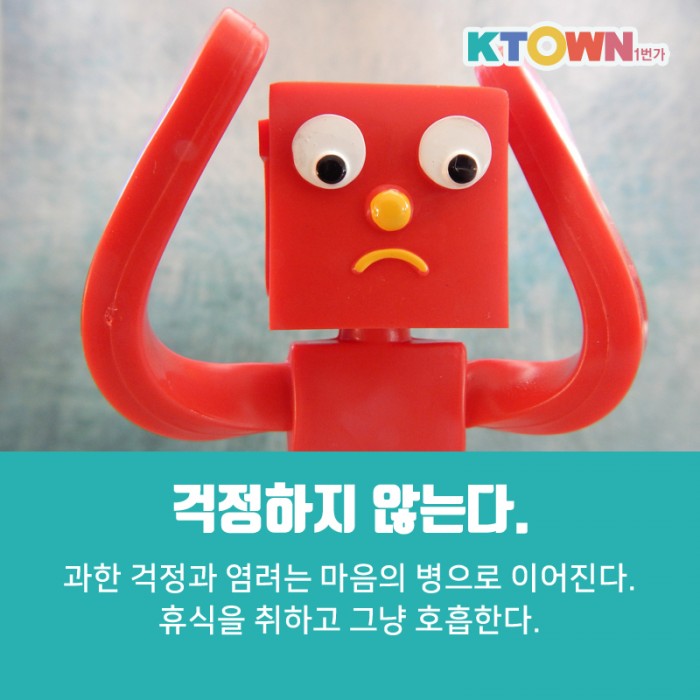 스트레스 없는 2020 경자년을 위하여!!