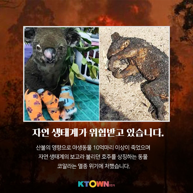 자연이 보내는 빨간 경고등  최악의 호주 산불, 원인은 기후 변화?