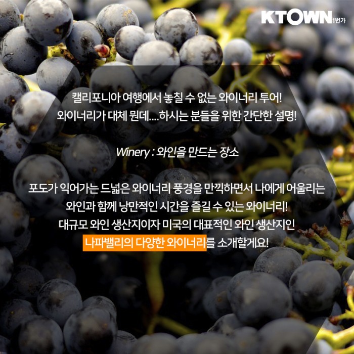나파밸리 와이너리 투어 추천 Best3