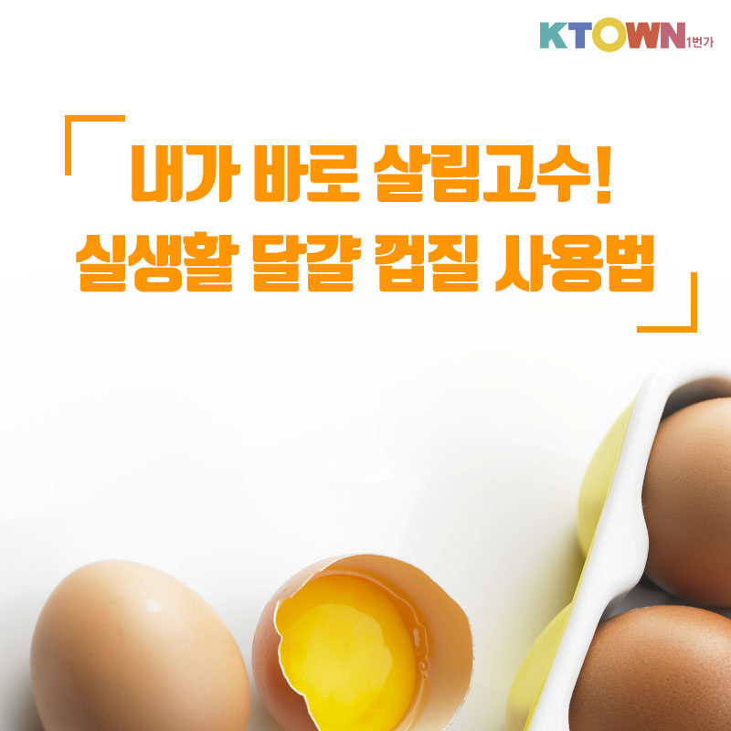 실생활에 적용할 수 있는 달걀 활용법!