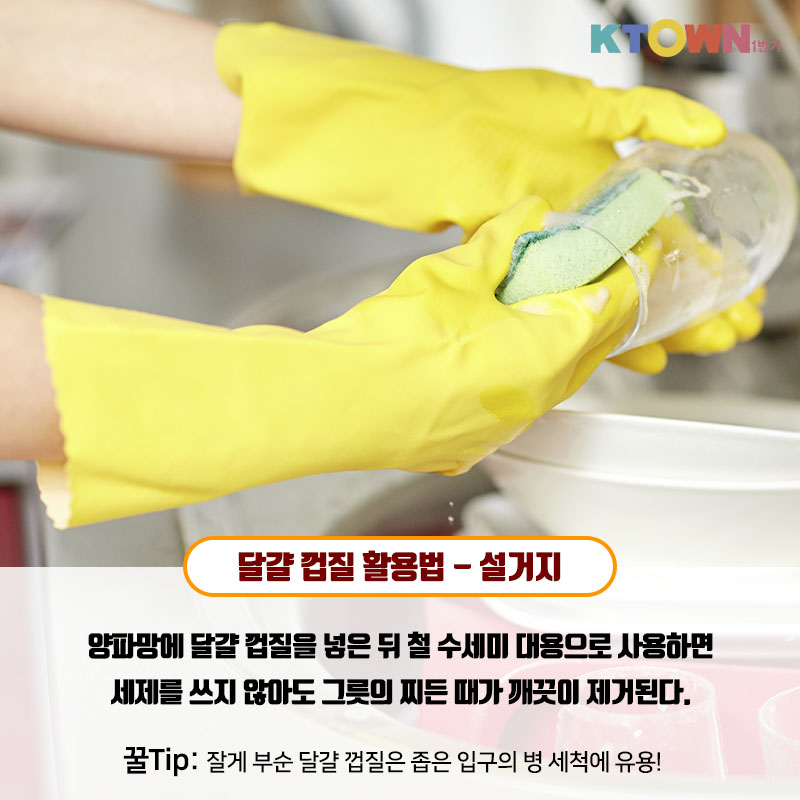 실생활에 적용할 수 있는 달걀 활용법!
