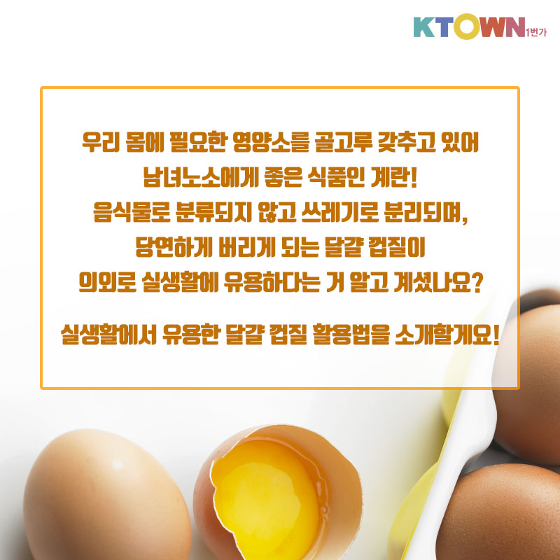실생활에 적용할 수 있는 달걀 활용법!