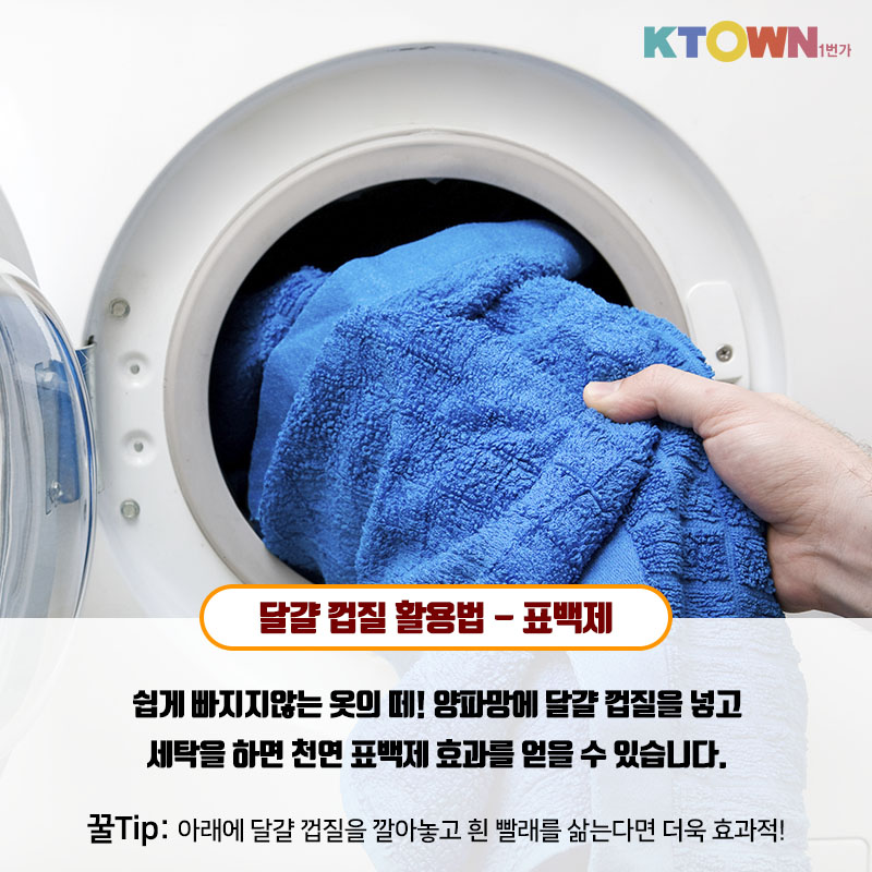 실생활에 적용할 수 있는 달걀 활용법!