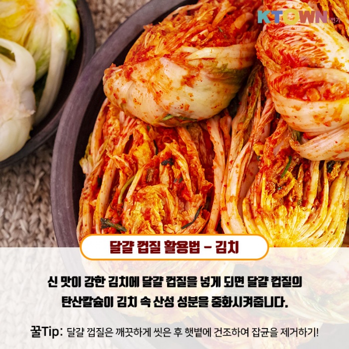 실생활에 적용할 수 있는 달걀 활용법!
