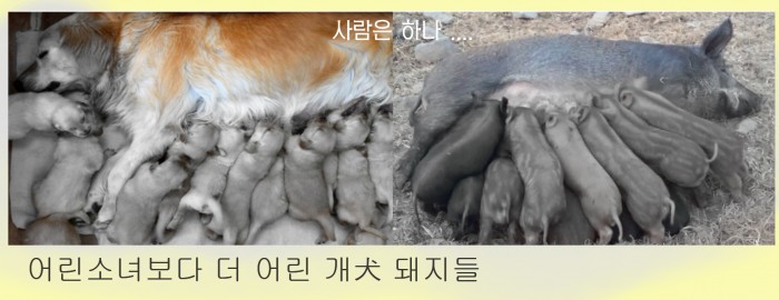 예시이미지